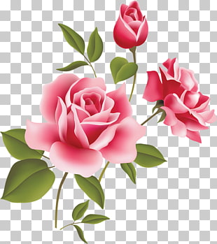 Rose Pink , Pink Rose Art , pink flowers PNG clipart