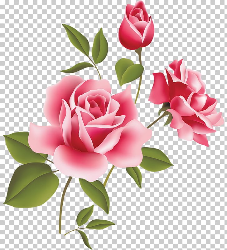 Rose Pink , Pink Rose Art , pink flowers PNG clipart