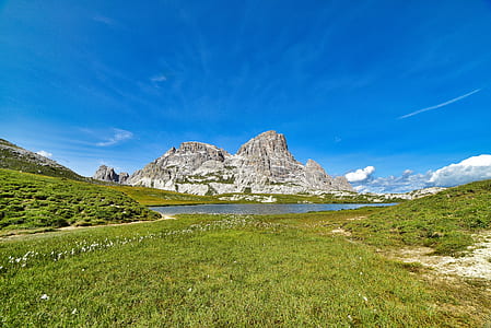 green grass field thumbnail