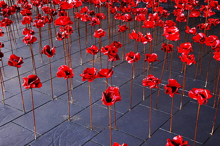 red rose flowers on brown sticks on purple brick floor thumbnail