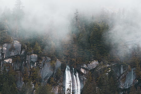 landscape photography of trees thumbnail
