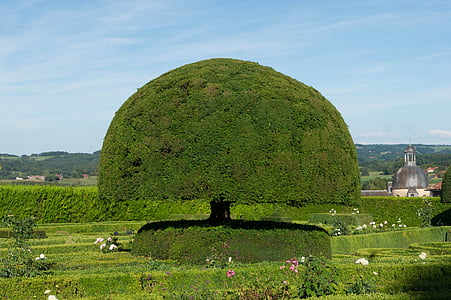 green mushroom garden formation thumbnail