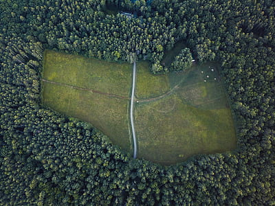 aerial photography of field surrounded by trees thumbnail