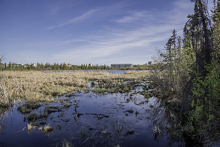 Marshland and wetlands under the skies in Yellowknife thumbnail