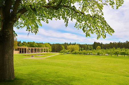 green lawn field thumbnail