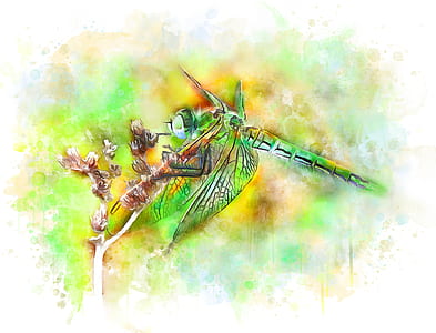 multicolored dragonfly painting thumbnail