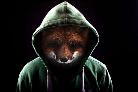orange fox wearing green hoodie thumbnail