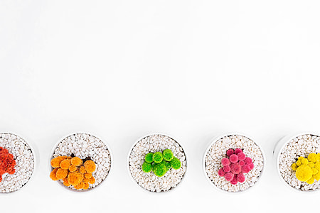 top shot photography of plants on pots thumbnail