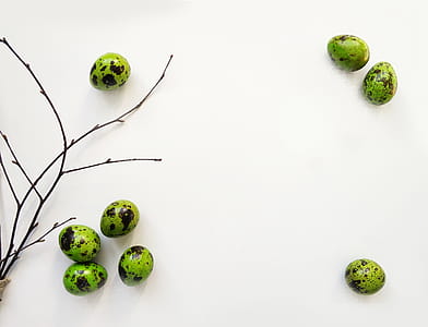 Eight Quail Eggs and Black Twigs thumbnail
