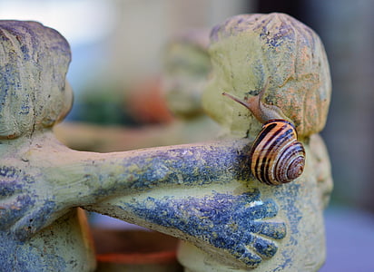 selective focus photo of black and brown snail thumbnail