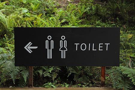 Toilet Signage Beside Green Leaf thumbnail