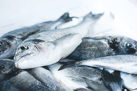 stocks of silver fish thumbnail