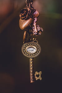 brown skeleton key shallow focus photography thumbnail
