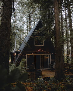black wooden house thumbnail