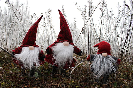 three red gnomes on grass field thumbnail