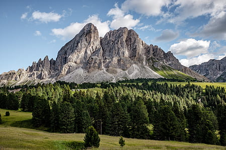 green pine trees near brown mountain under white and blue sky thumbnail
