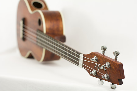 brown Riptide ukelele in shallow photo thumbnail