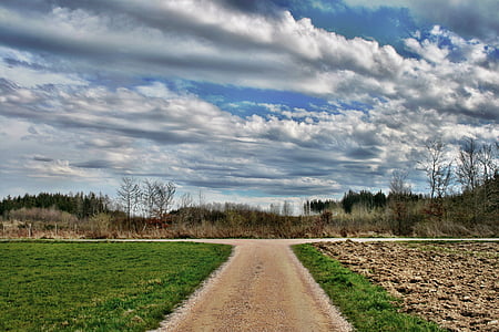 road surrounded by grass during daytime thumbnail