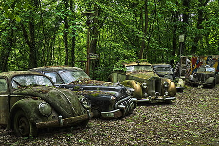 car parked beside trees thumbnail