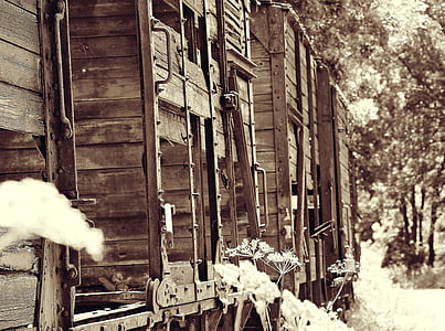 brown train photography with snowfield thumbnail