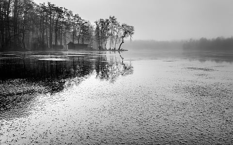 grayscale body of water thumbnail