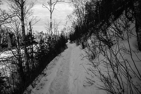 Hiking Walkway in the snow along the Gooseberry River at Gooseberry Falls State Park, Minnesota thumbnail