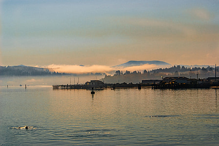 Ocean Bay landscape in Oregon thumbnail