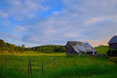 landscape, nature, sky, sunset thumbnail