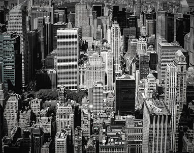 grayscale photography of city buildings at daytime thumbnail