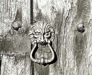 gray lion door knob on wood thumbnail