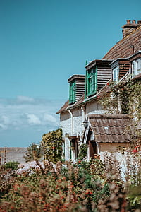 concrete house surrounded by plants thumbnail