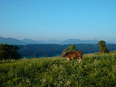 Oy Mittelberg thumbnail