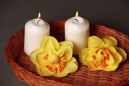 wood, relaxation, romantic, flowers thumbnail