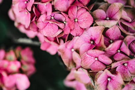 Autumn Details thumbnail