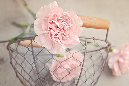 pink carnation flower on gray metal basket thumbnail