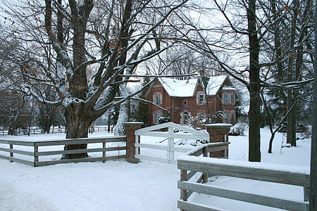 snow covered brown house thumbnail