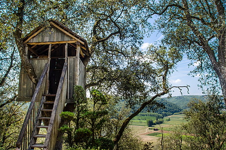 brown tree house during daytime thumbnail