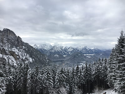 snow-covered mountains and forest thumbnail