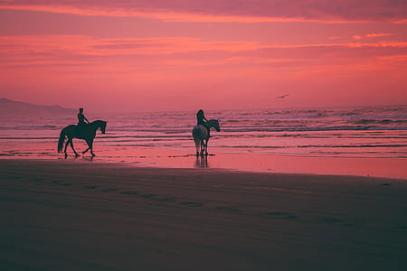 silhouette of people riding horse thumbnail