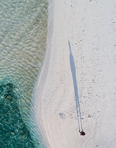 person standing on seashore at daytime thumbnail