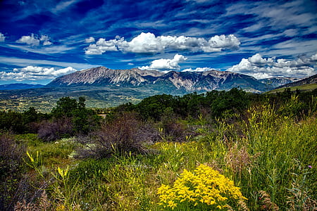 forest near mountain under blue sky during daytime thumbnail