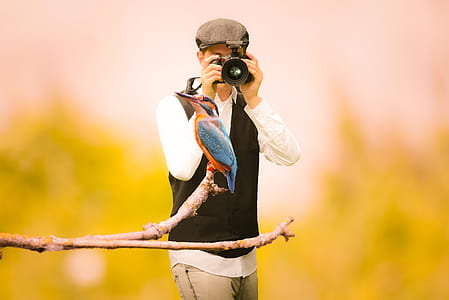 Photo illustration of photographer shooting a photo of a bird. thumbnail