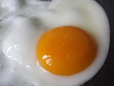 fried egg thumbnail