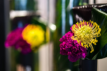 Red rowan with a colourful arrangement of flowers thumbnail