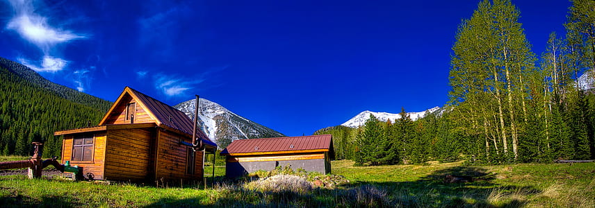 brown wooden cabin surrounded with trees thumbnail