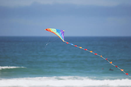 purple and teal kite near beach thumbnail