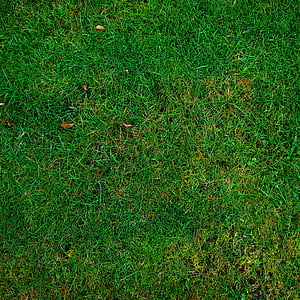 green grass turf thumbnail