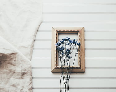 blue petaled flowers near white wall thumbnail