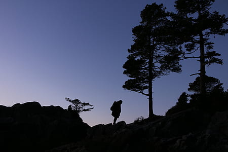 person standing near tree thumbnail