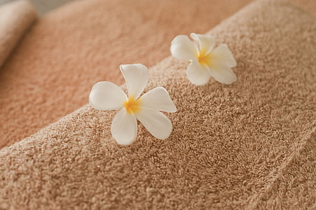 two white 5-pelted flowers on brown textile thumbnail